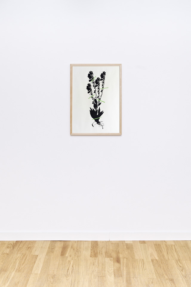 framed laser cut of a botanical plant, hanging on a wall, Digitalis