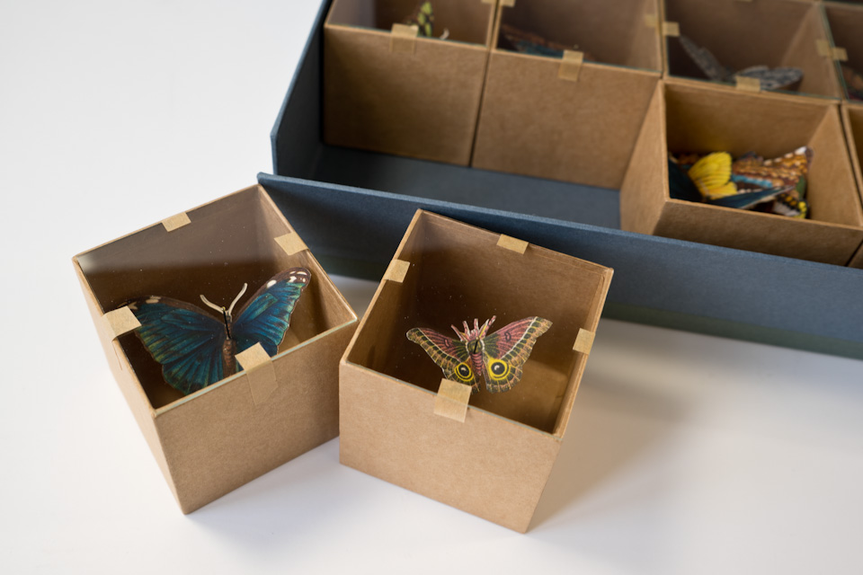 some boxes with butterflies