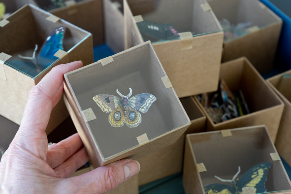 A hand holding a botanical box with a yellow papercut butterfly