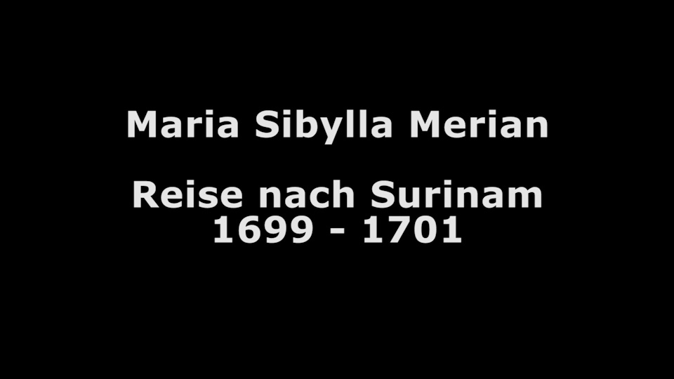 text table: Maria Sibylla Merian, video still