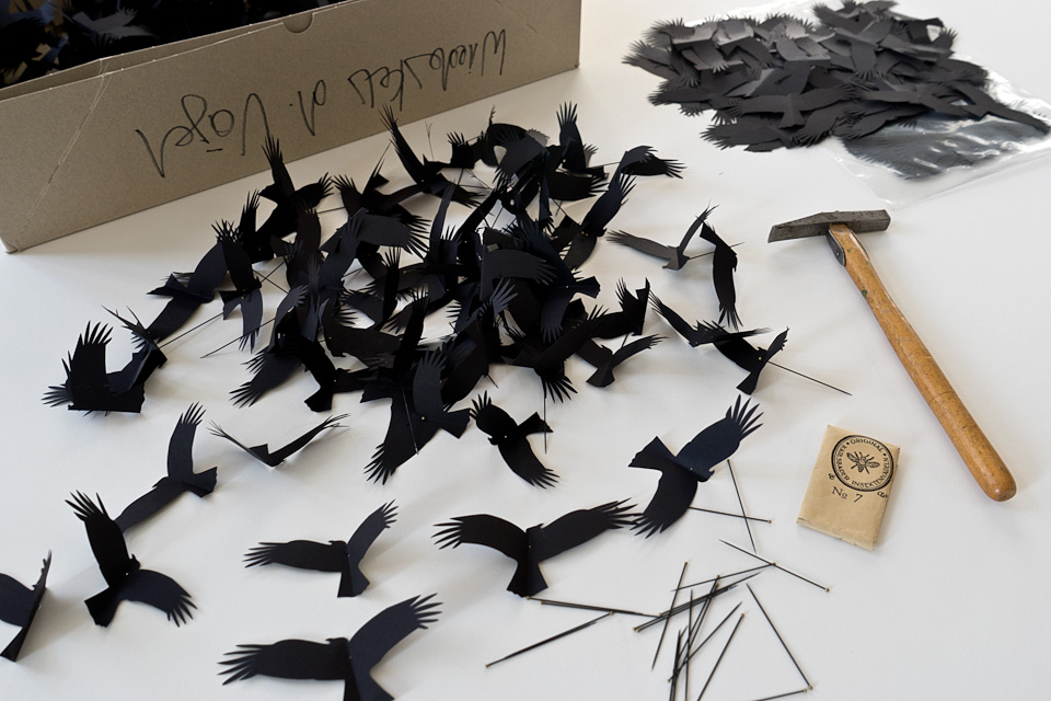 bird silhouettes and tools lying on a table