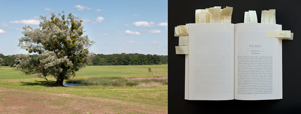 photomontage, landscape with open book