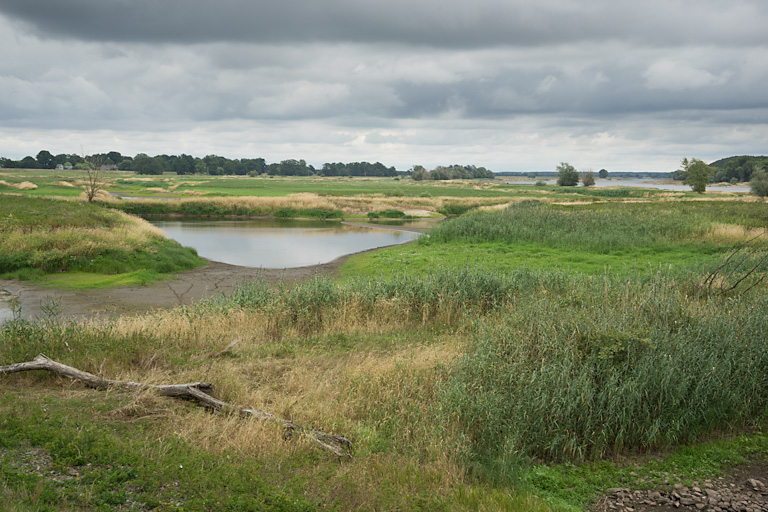 Archive of Many Places, river landscape