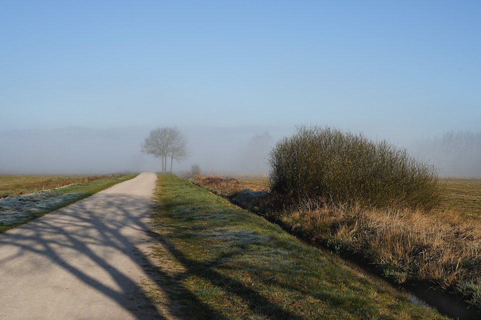 Archive of Many Places, moorlands, landscape